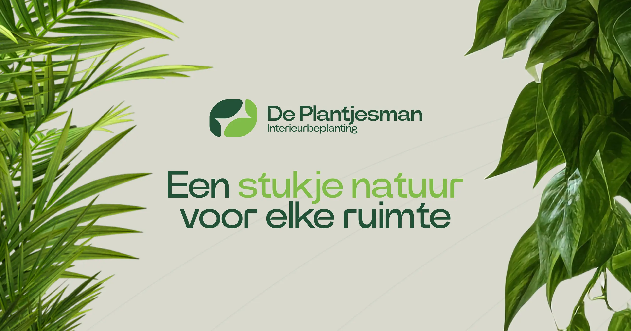 Groene en gezonde werkomgeving bij Fit Value | De Plantjesman ...